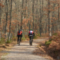 Exploring Baltimore County's Unique Transportation Infrastructure