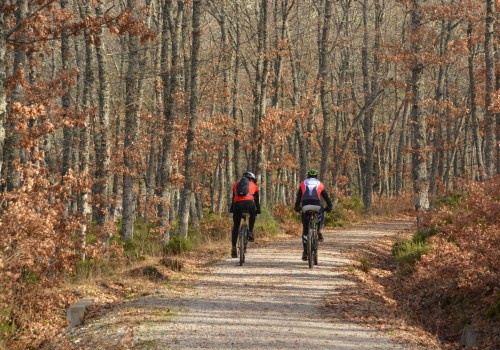 Exploring Baltimore County's Unique Transportation Infrastructure