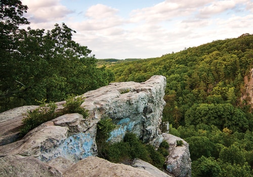 Discover the Best Walks and Hikes in Baltimore County